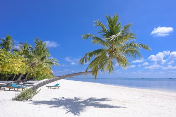 Tropical paradise